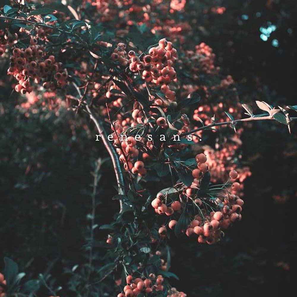 Sosad – Rap/Hip Hop