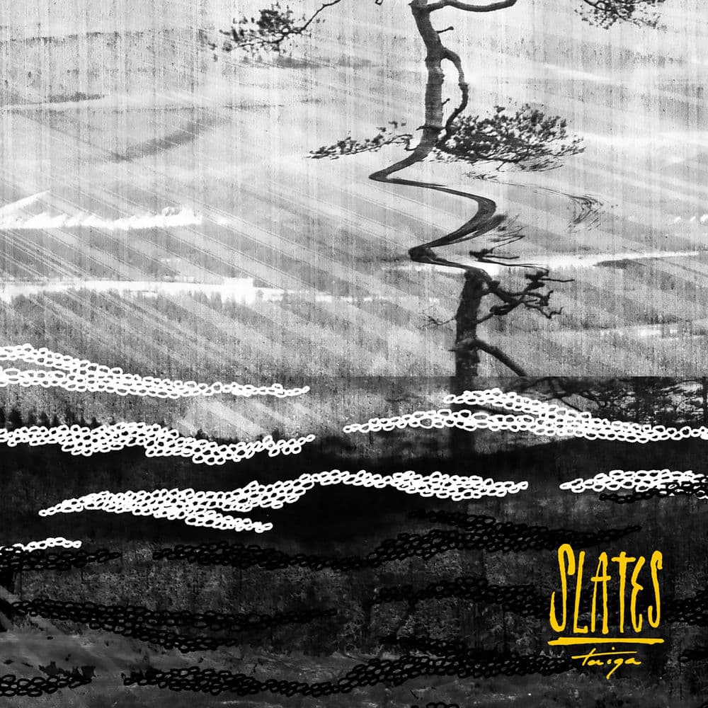 Slates – Punk