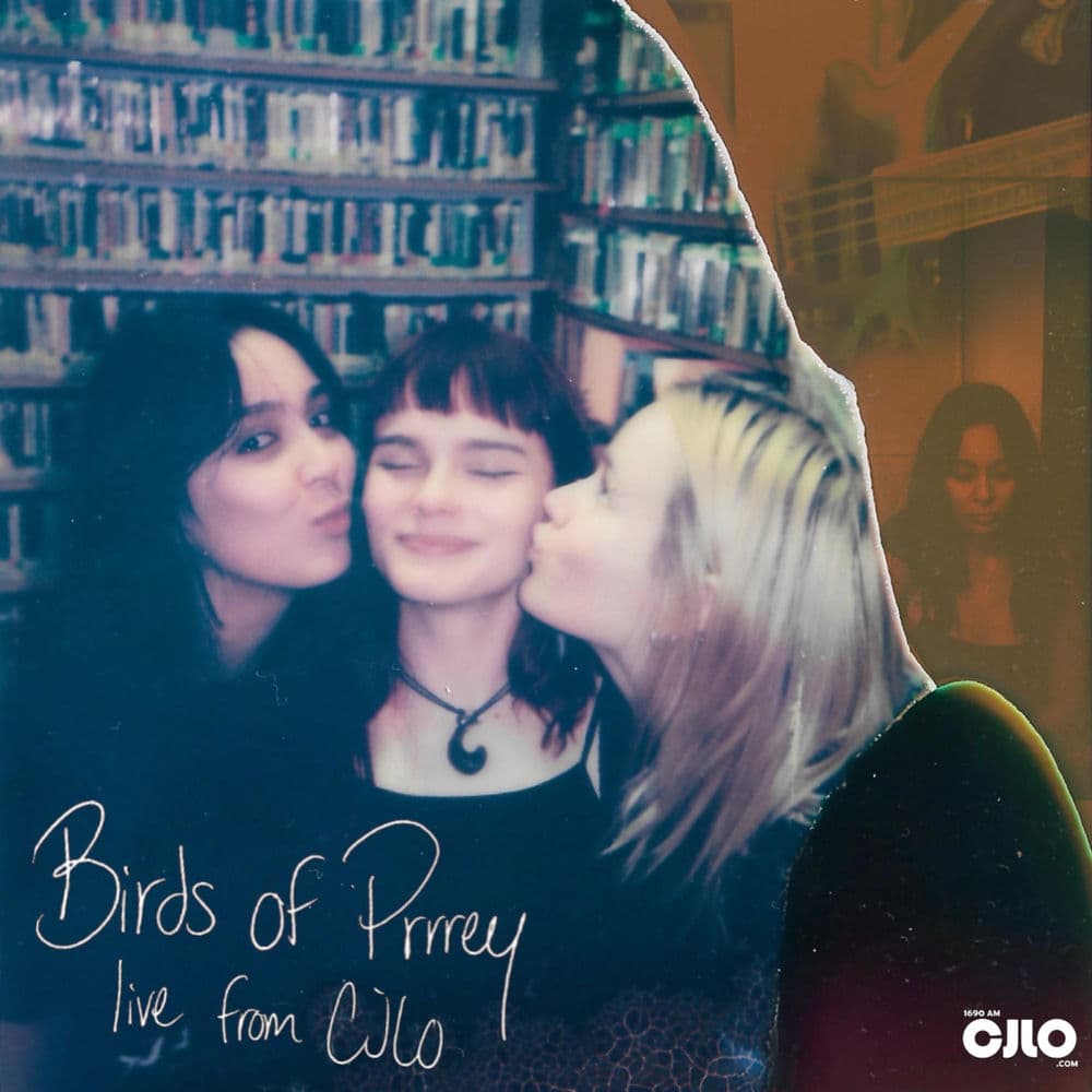 Birds of Prrrey