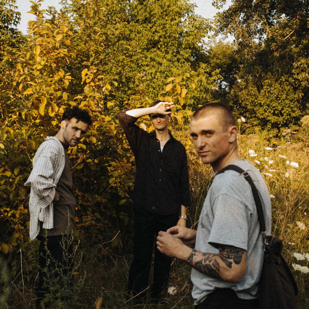 Cola – Alternative