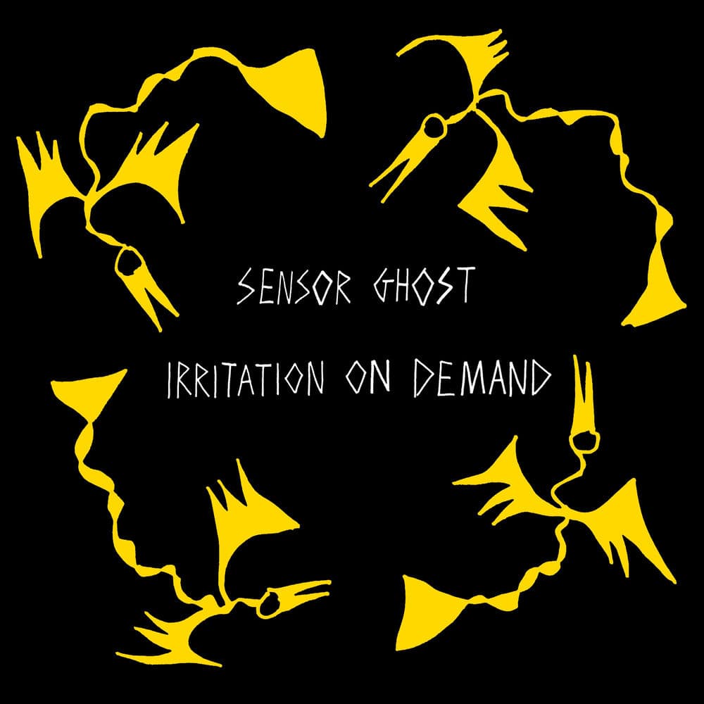Sensor Ghost – Indie Rock