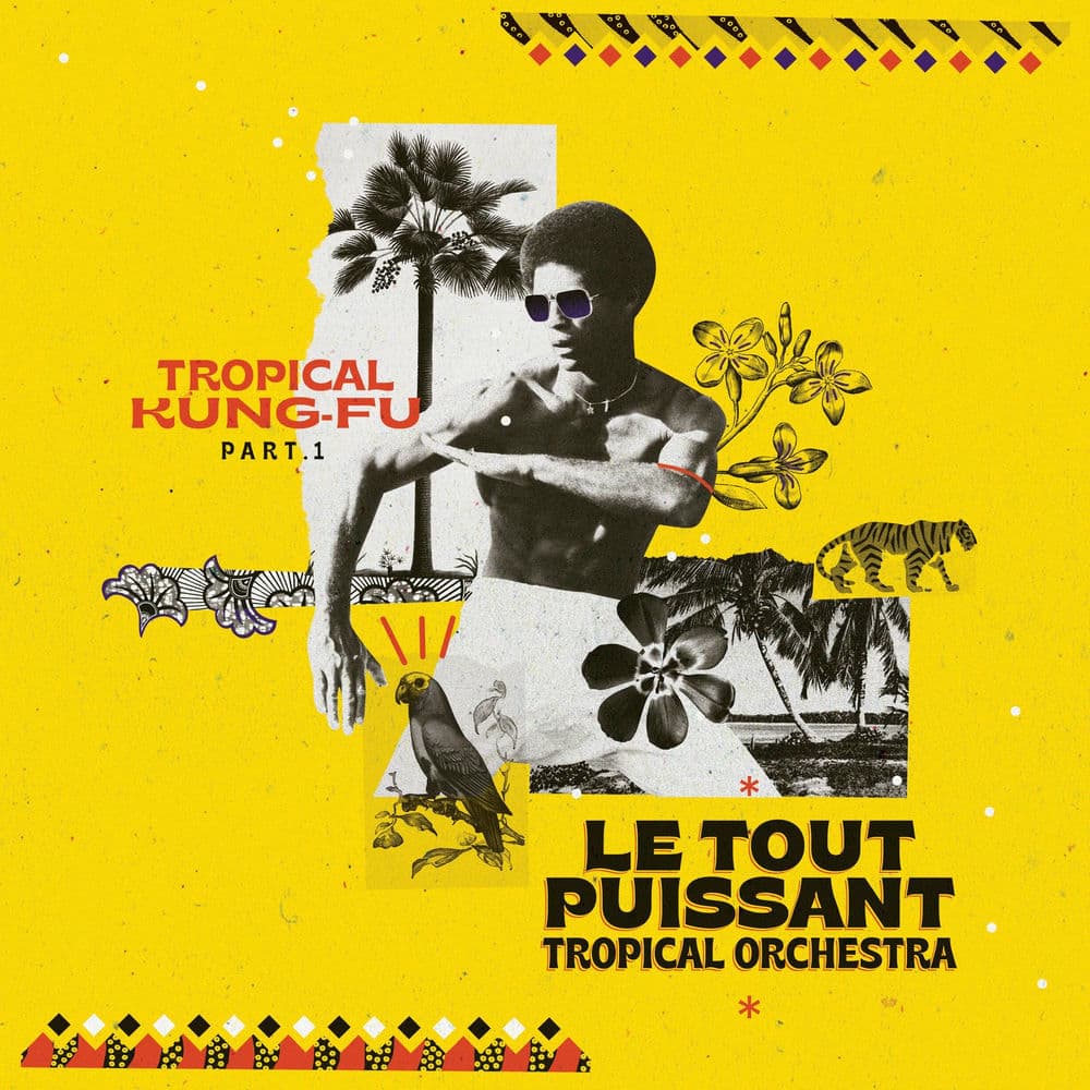 LE TOUT PUISSANT TROPICAL ORCHESTRA