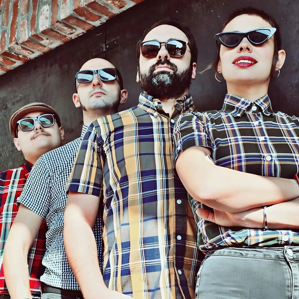 LOS FASTIDIOS – Punk