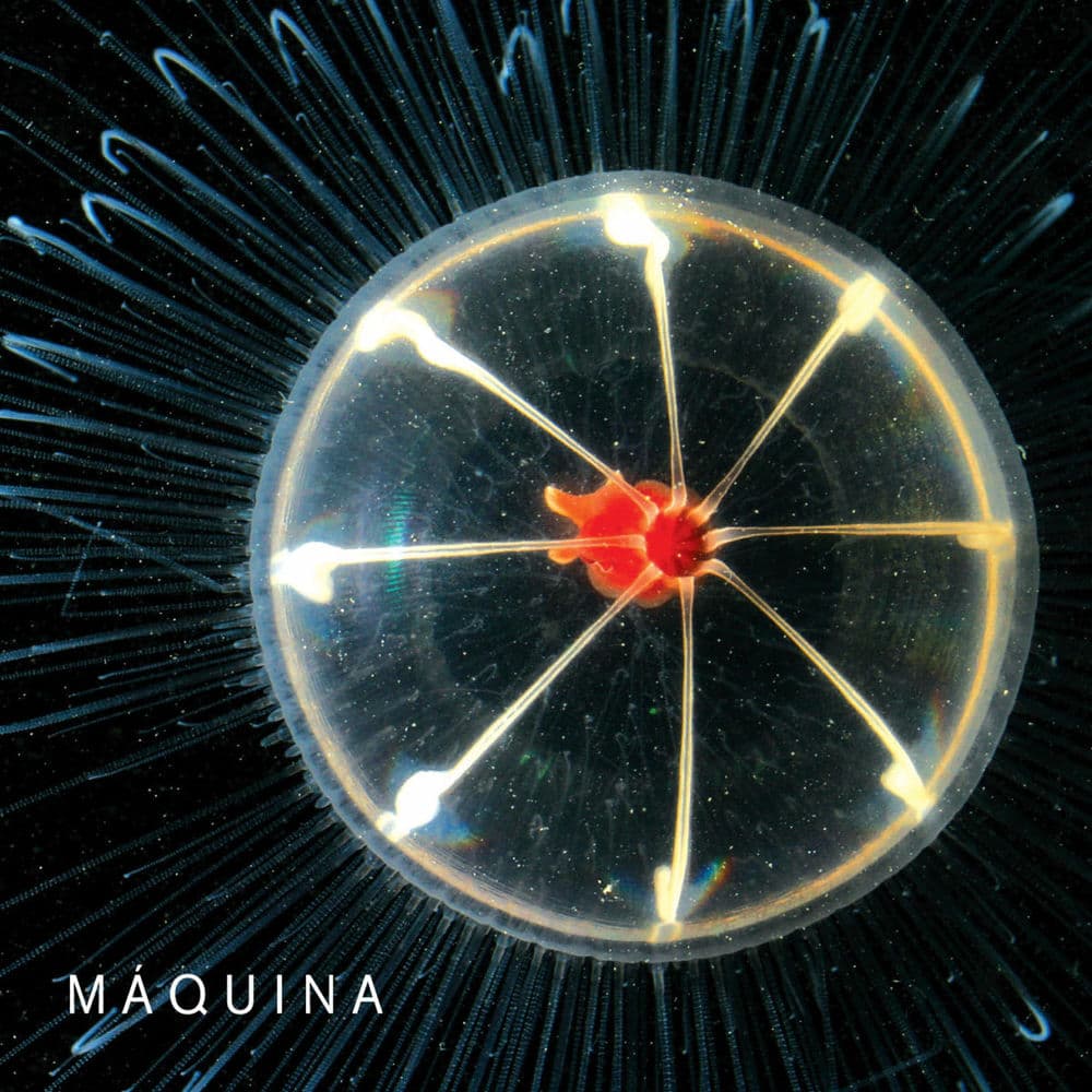 Maquina – Rock
