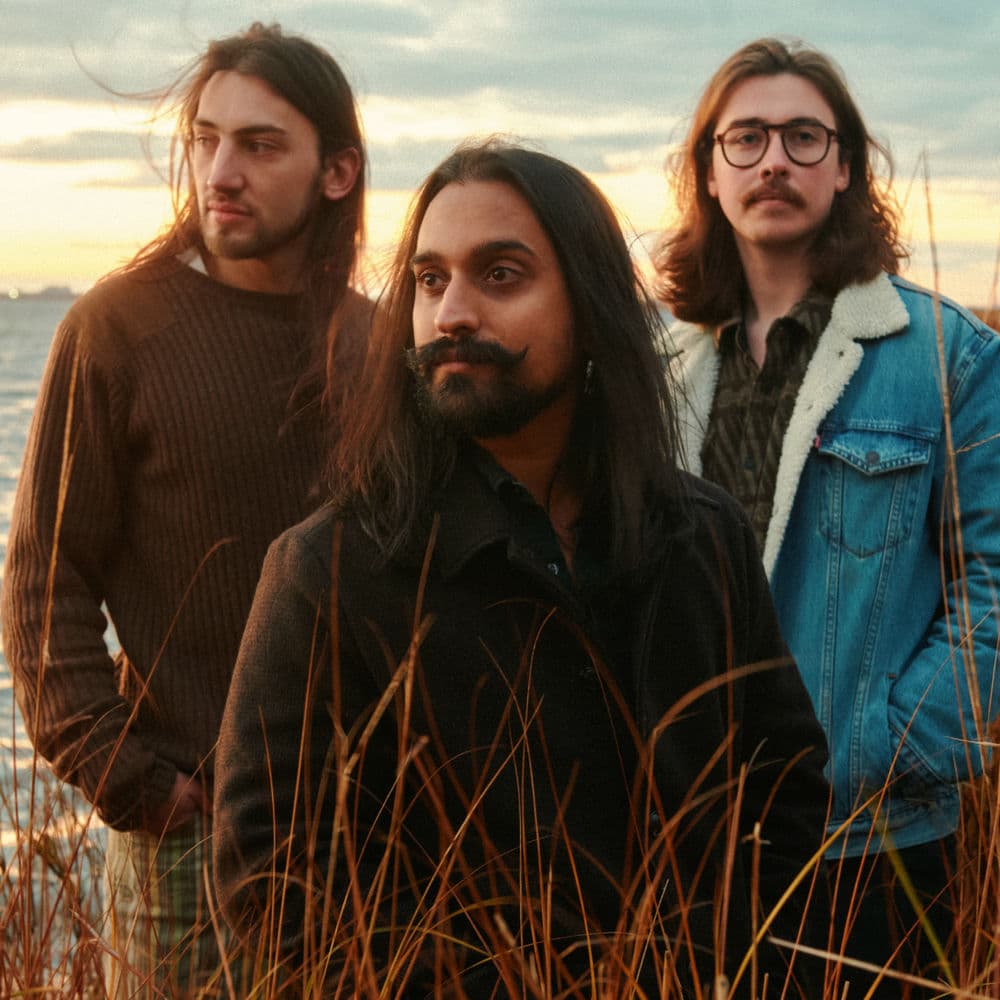 Free Whenever – Rock