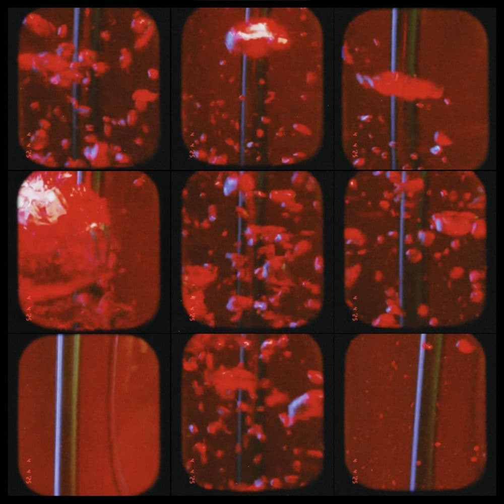 Tidetied – Indie Rock