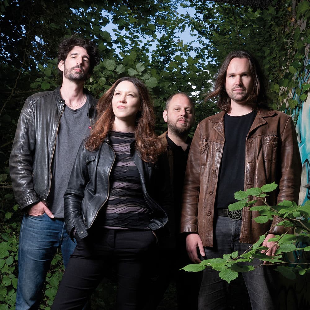 STUBBORN TREES – Rock