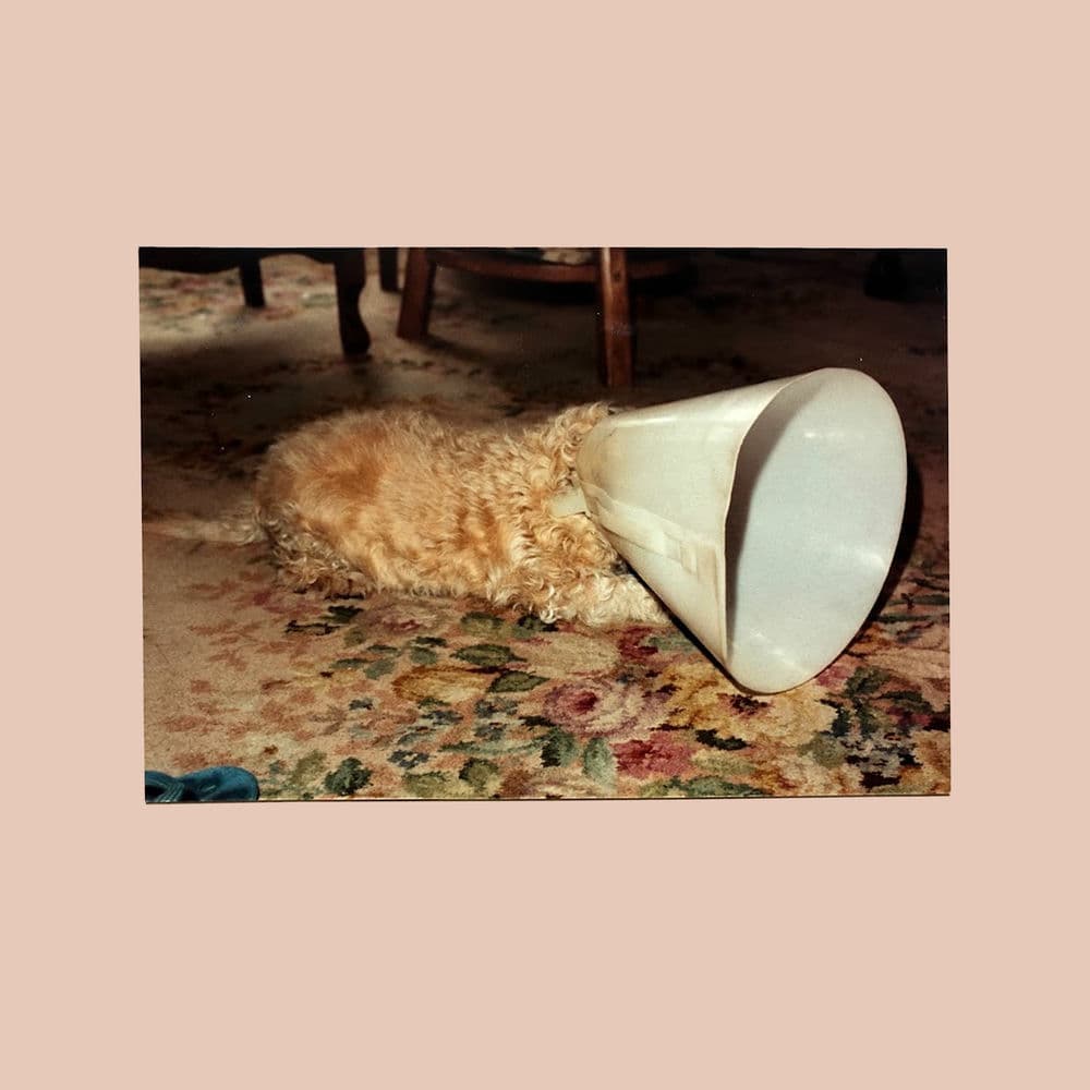 Langkamer – Alternative