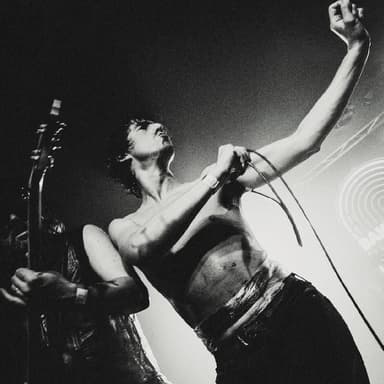 The Moonlandingz