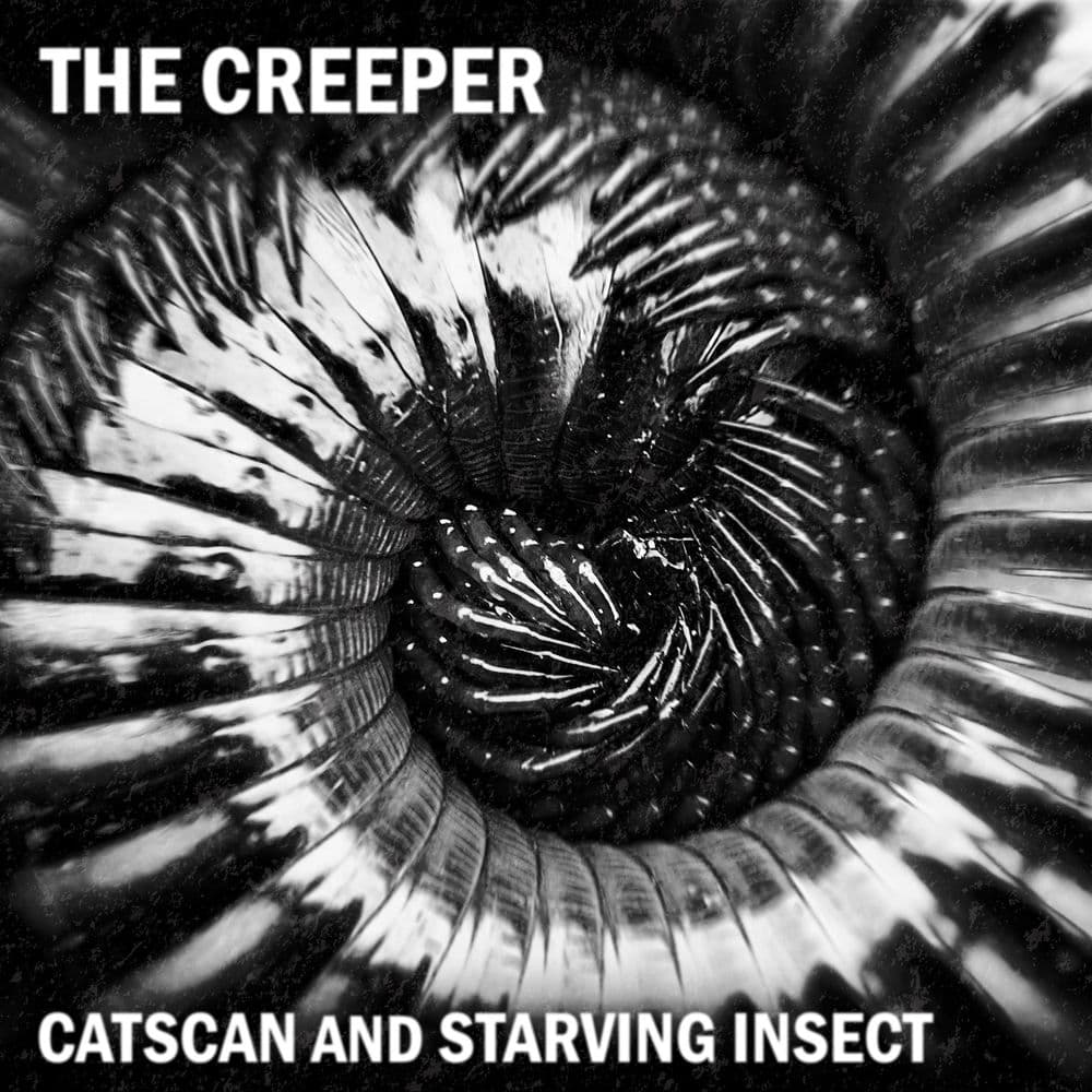 Starving Insect – Electro