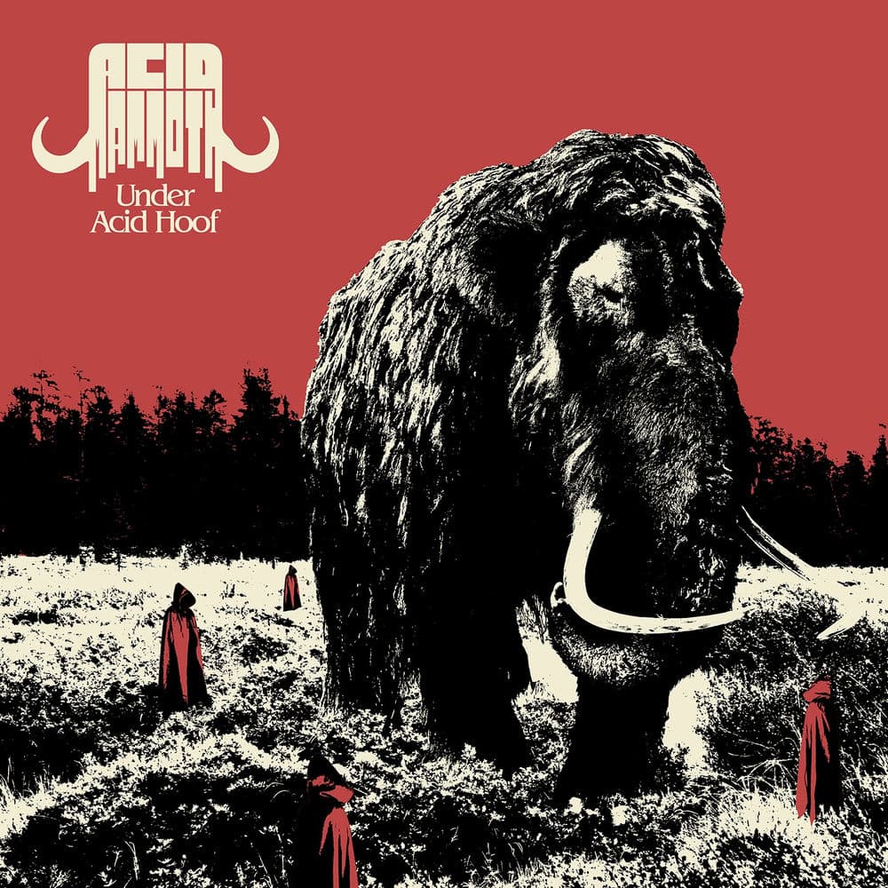 Acid Mammoth – Rock