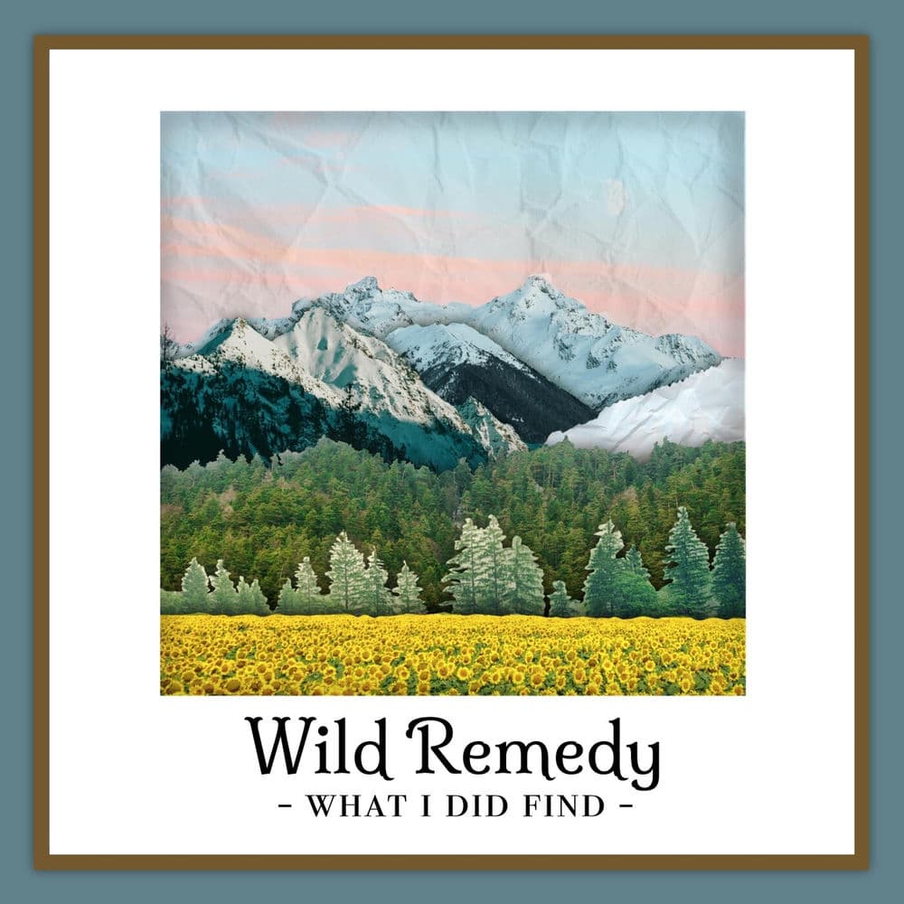 Wild Remedy – Folk