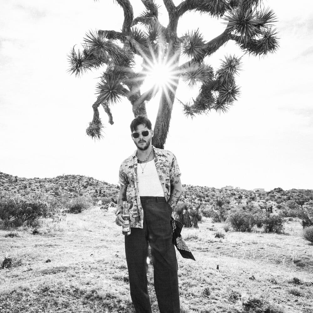 Wavves – Indie Rock
