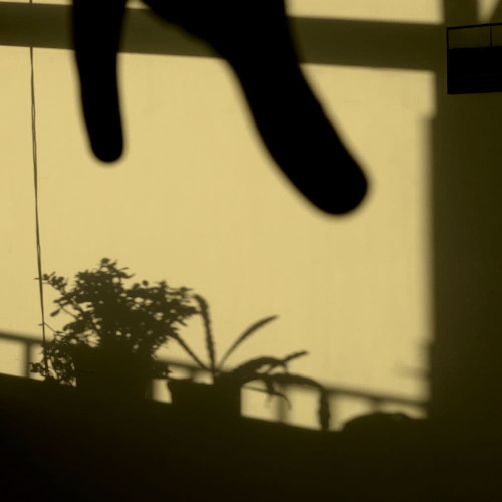 SUZAN PEETERS
