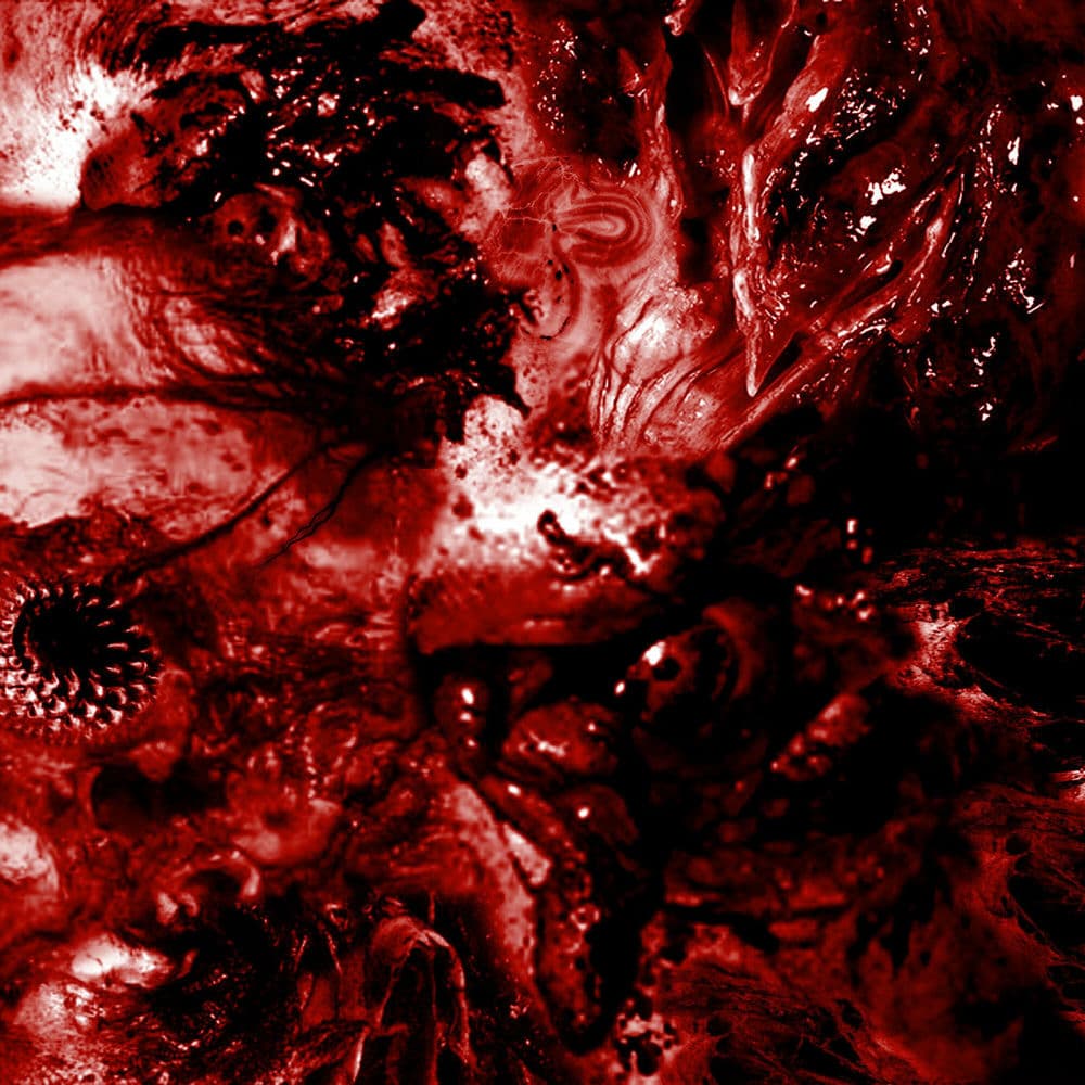 Excrescence – Brutal Death Metal
