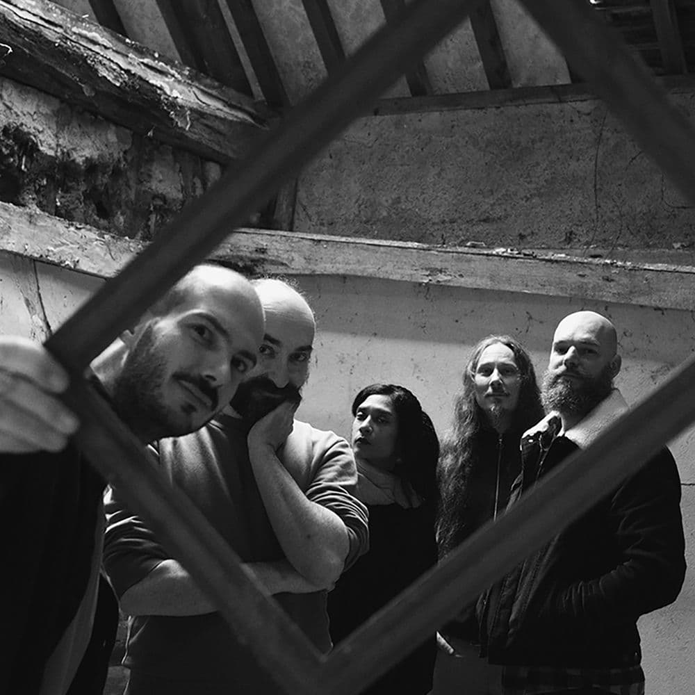 POINT MORT – Punk