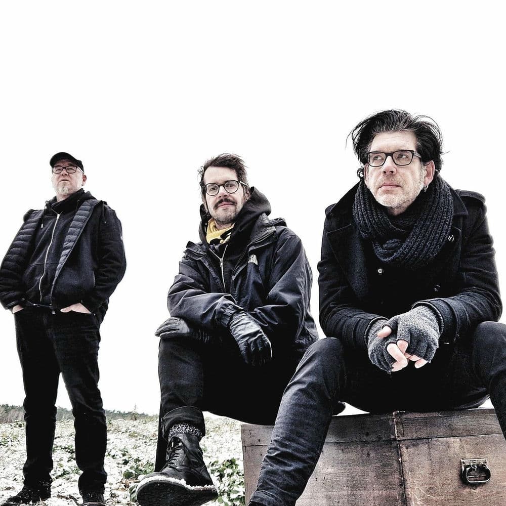 Golden Apes – Rock