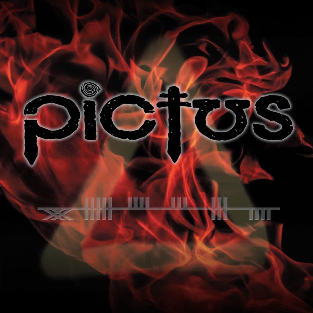 Pictus – Rock
