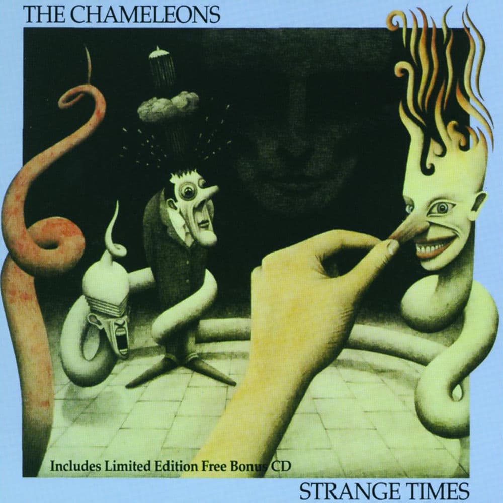 Chameleons UK – Pop
