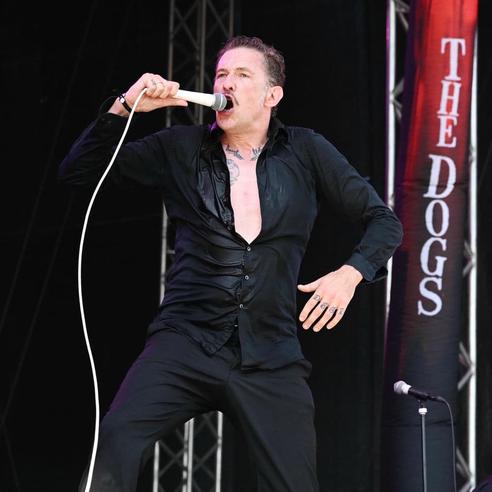 The Dogs – Rock