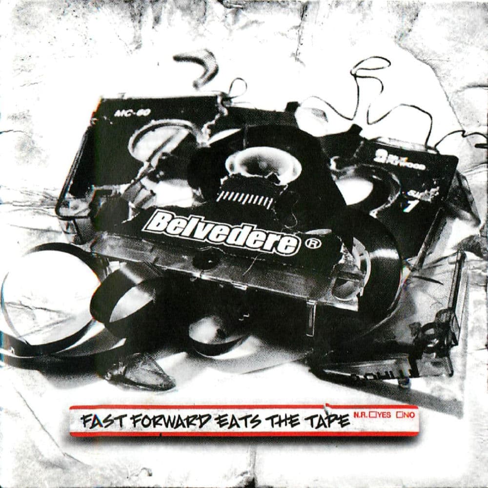 Belvedere – Punk