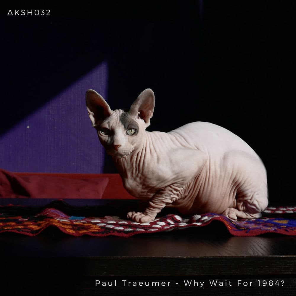 Paul Traeumer – Electro