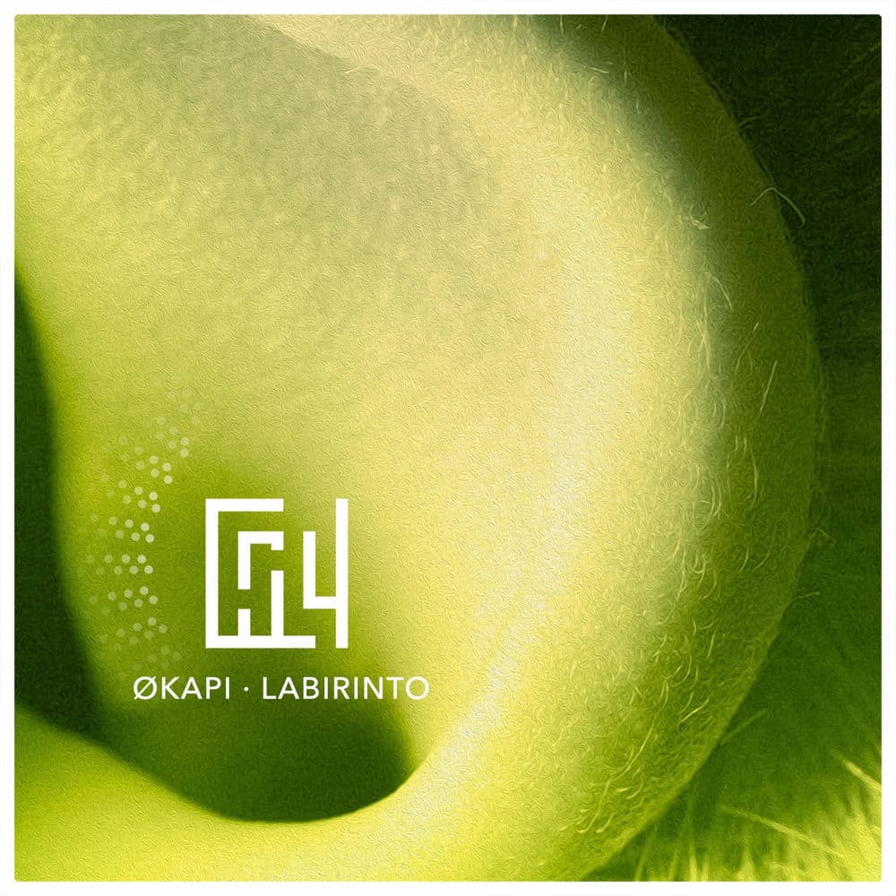 ØKAPI – Electro