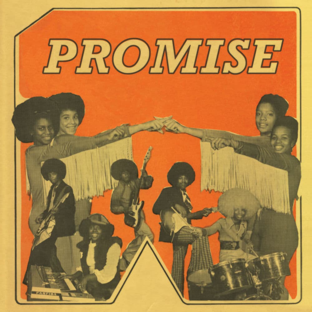Promise – Fixme-Probably Not A Real Artist