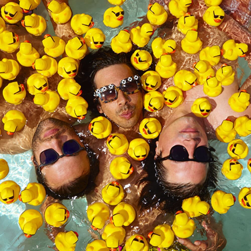 NAIVE NEW BEATERS – Pop Rap