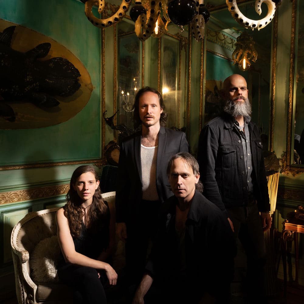Baroness – Stoner Metal