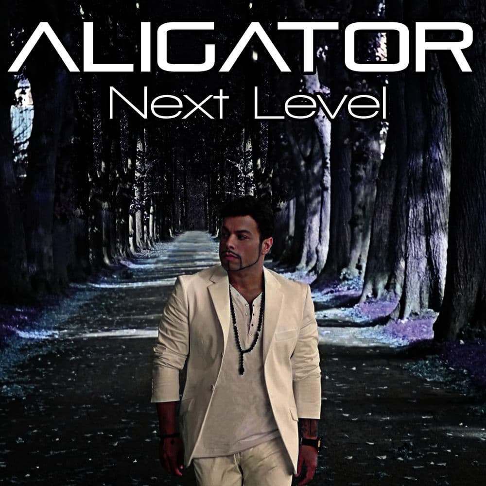 DJ Aligator – Electro House