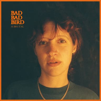 BAD BAD BIRD