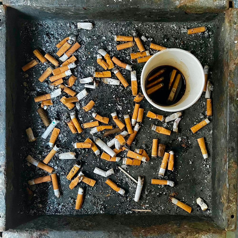 Kukkatalo – Alternative