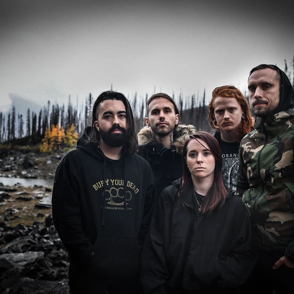Swamptooth – Rock