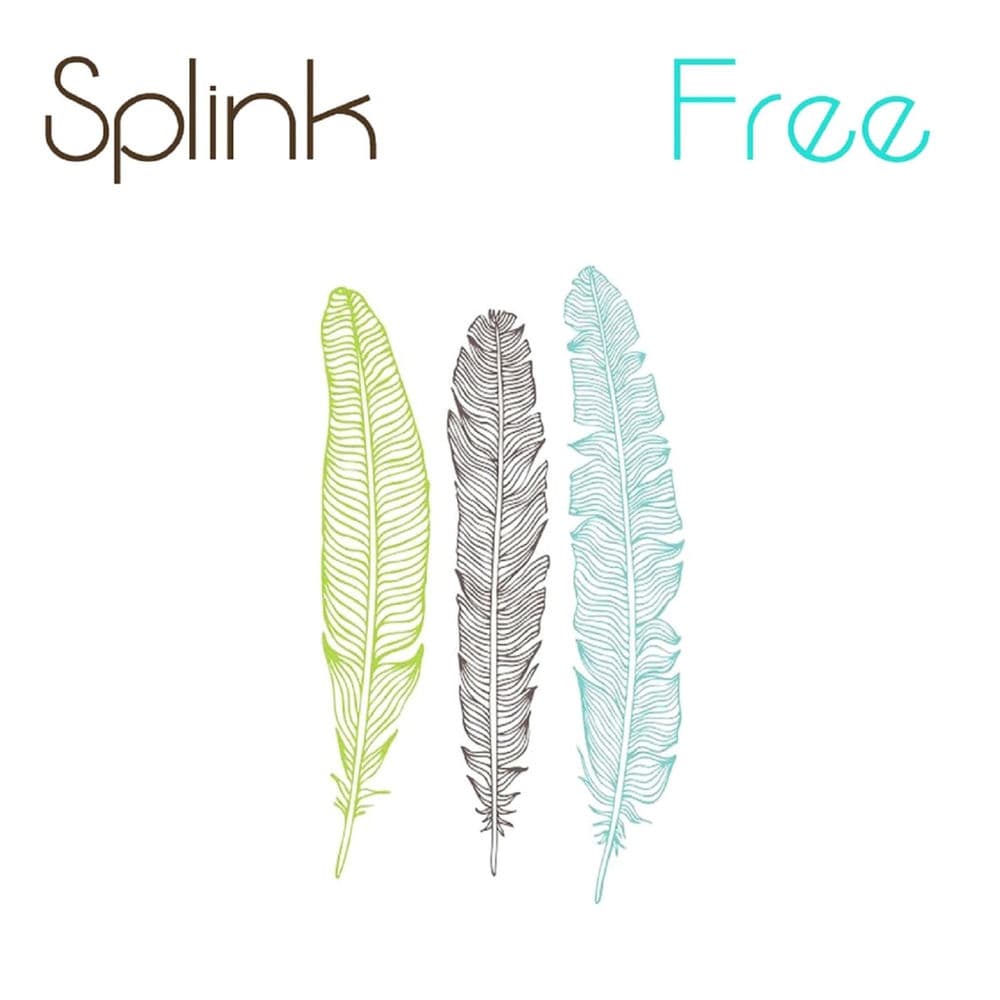 Splink – Progressive Rock