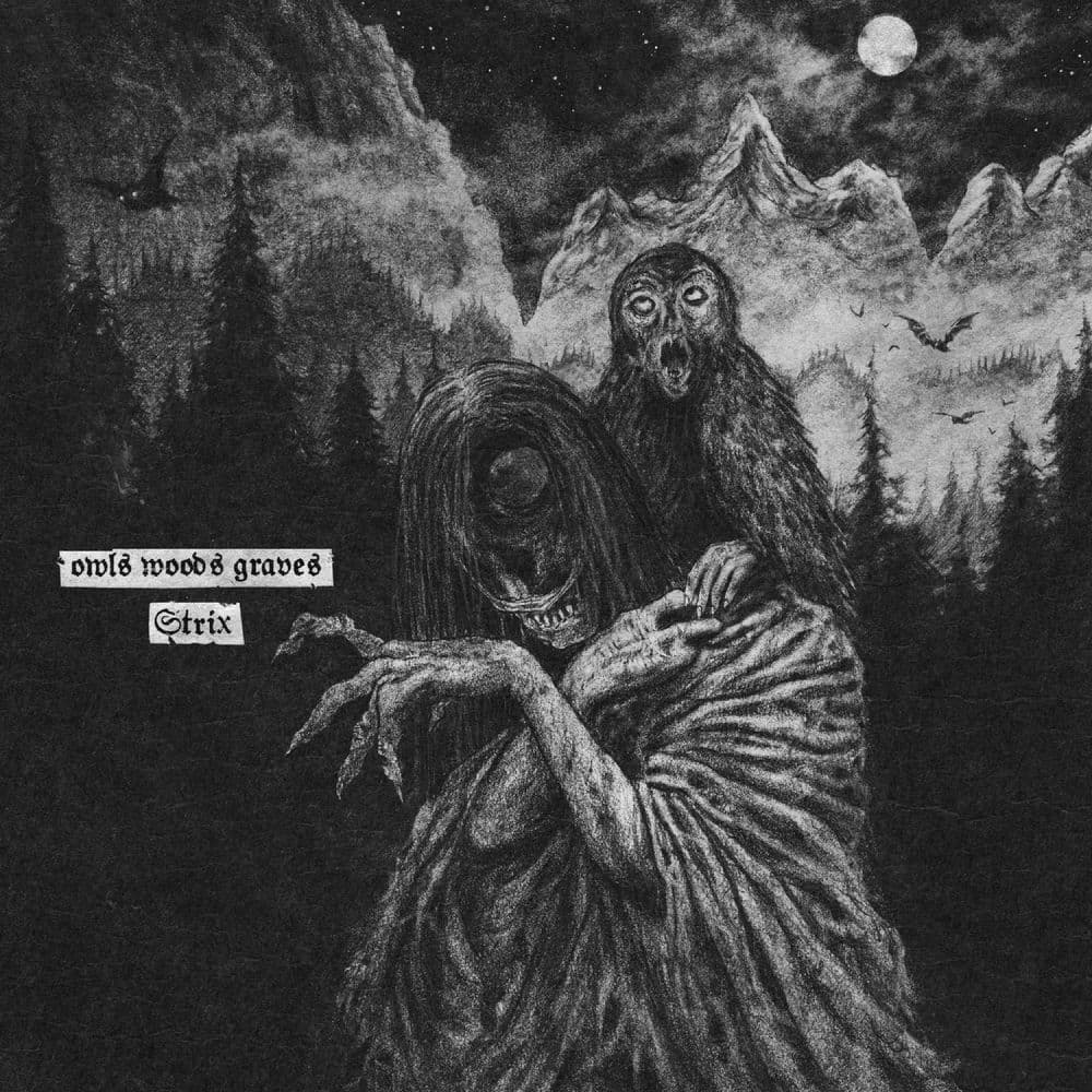 OWLS Woods Graves – Punk