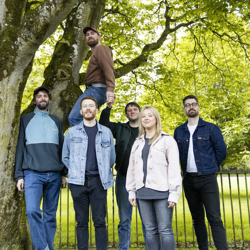 Silverbacks – Alternative
