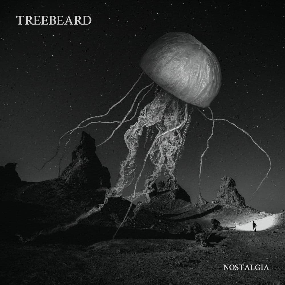 Treebeard – Rock