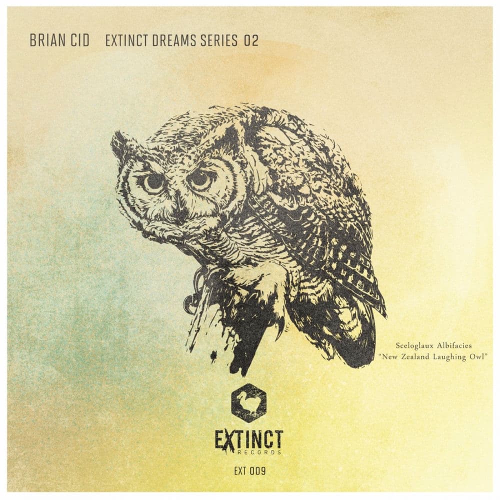 Brian Cid – Electro