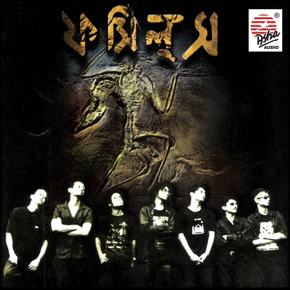 Fossils – Rock