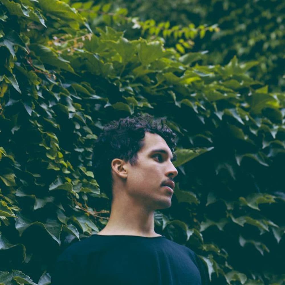 Dauwd – House