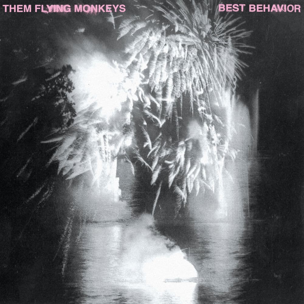 THEM FLYING MONKEYS – Indie Rock