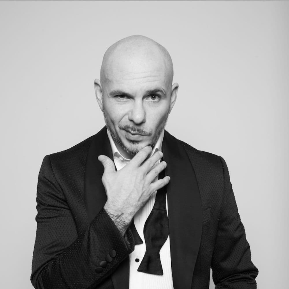 Pitbull – Electro House