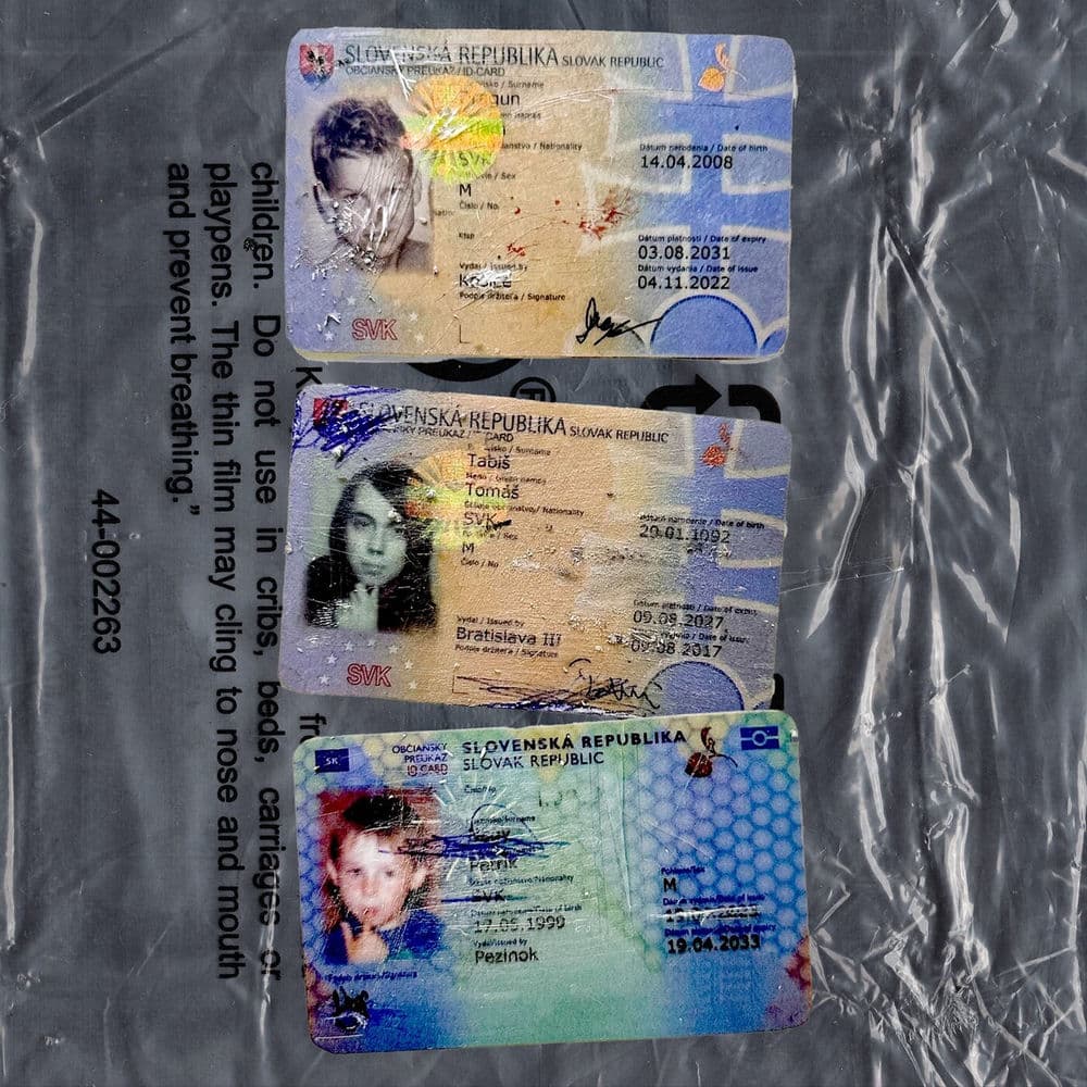 Berlin Manson – Alternative