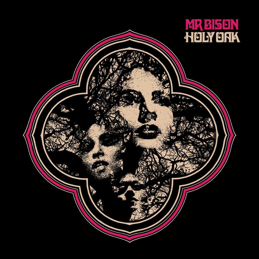Mr Bison – Rock