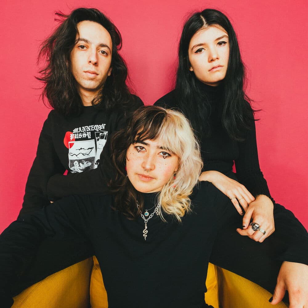Destroy Boys – Punk Rock