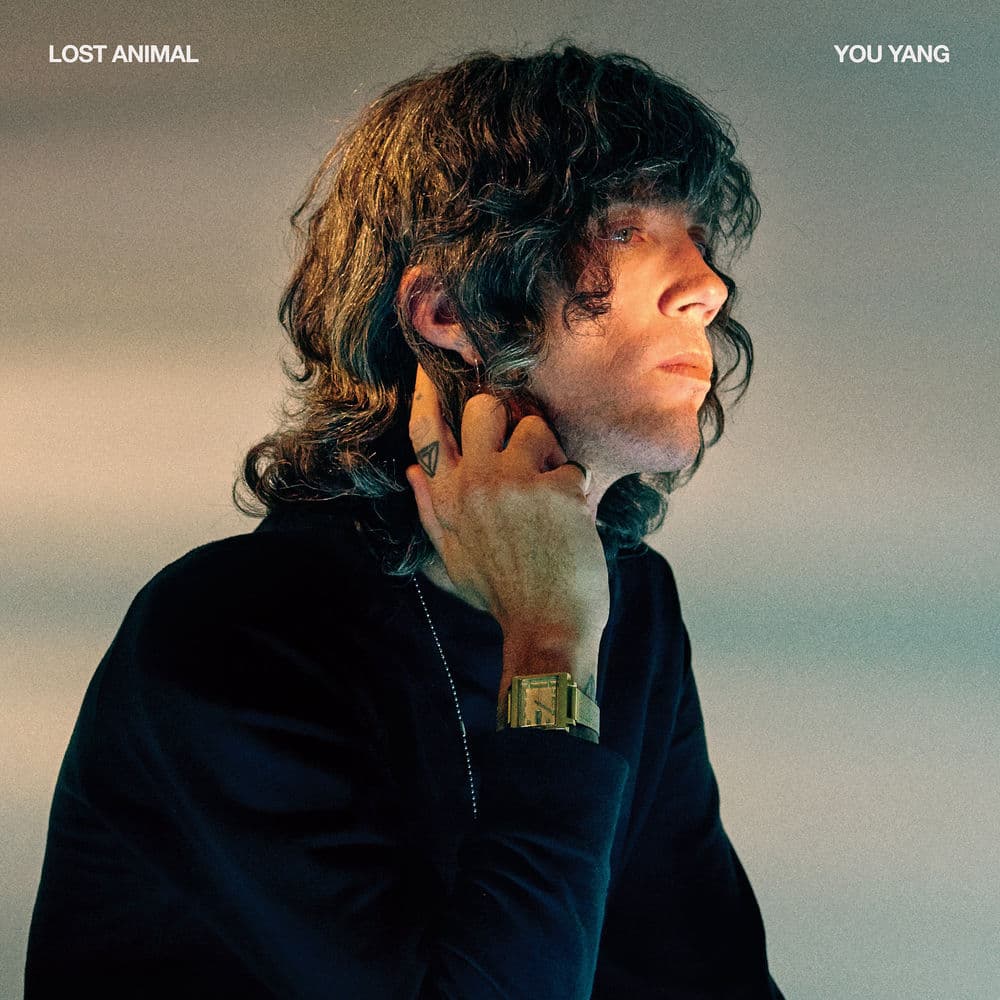 Lost Animal – Alternative