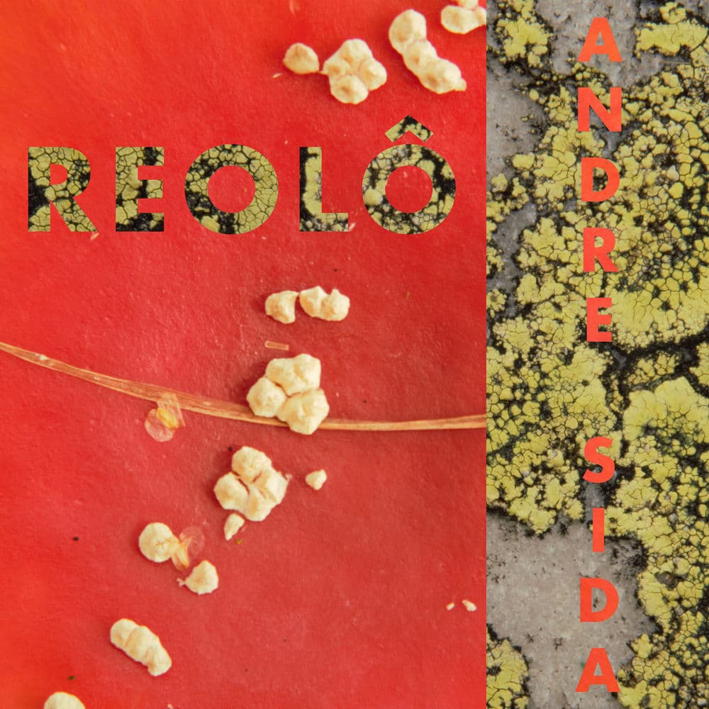 Reolô – Vill Vill Vest 2025