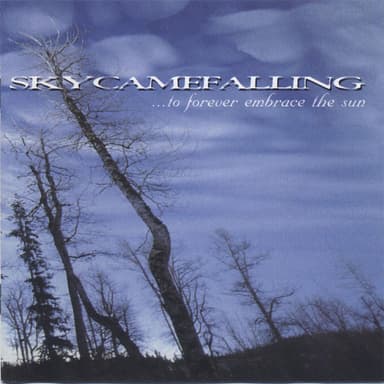 Skycamefalling