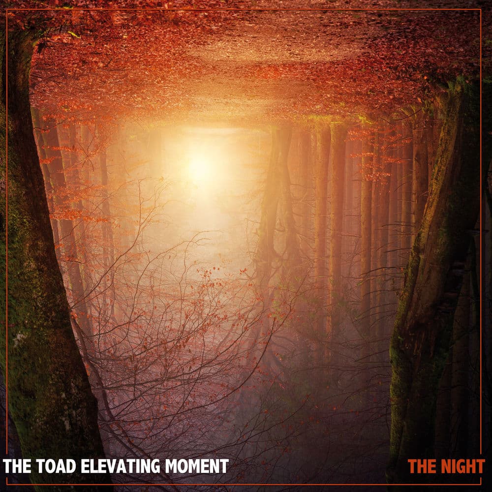 THE TOAD ELEVATING MOMENT – Pop